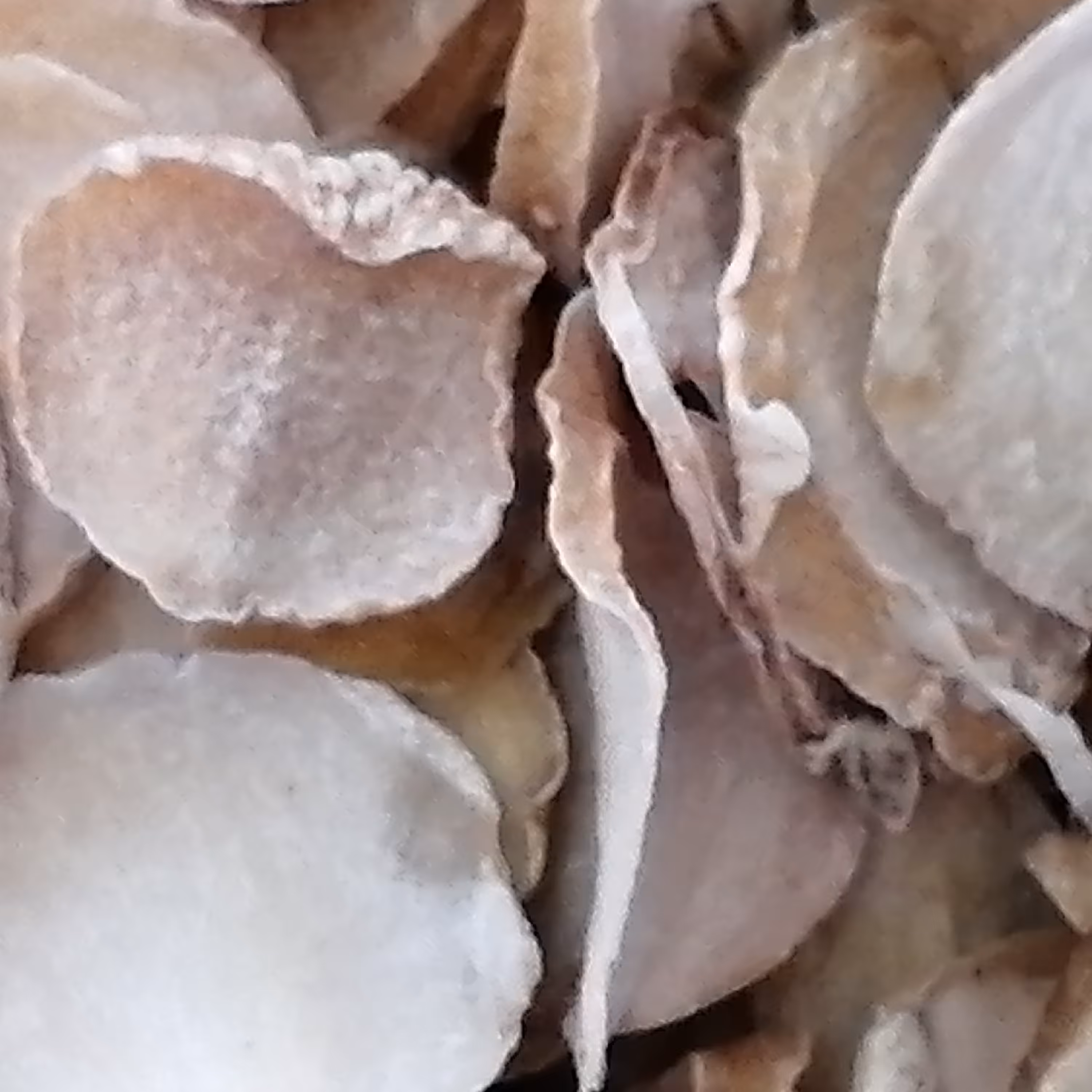 موسیر اعلا و درجه یک (75 گرمی)