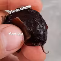 سیر سیاه 900 گرمی اعلا تخمیر شده جایما