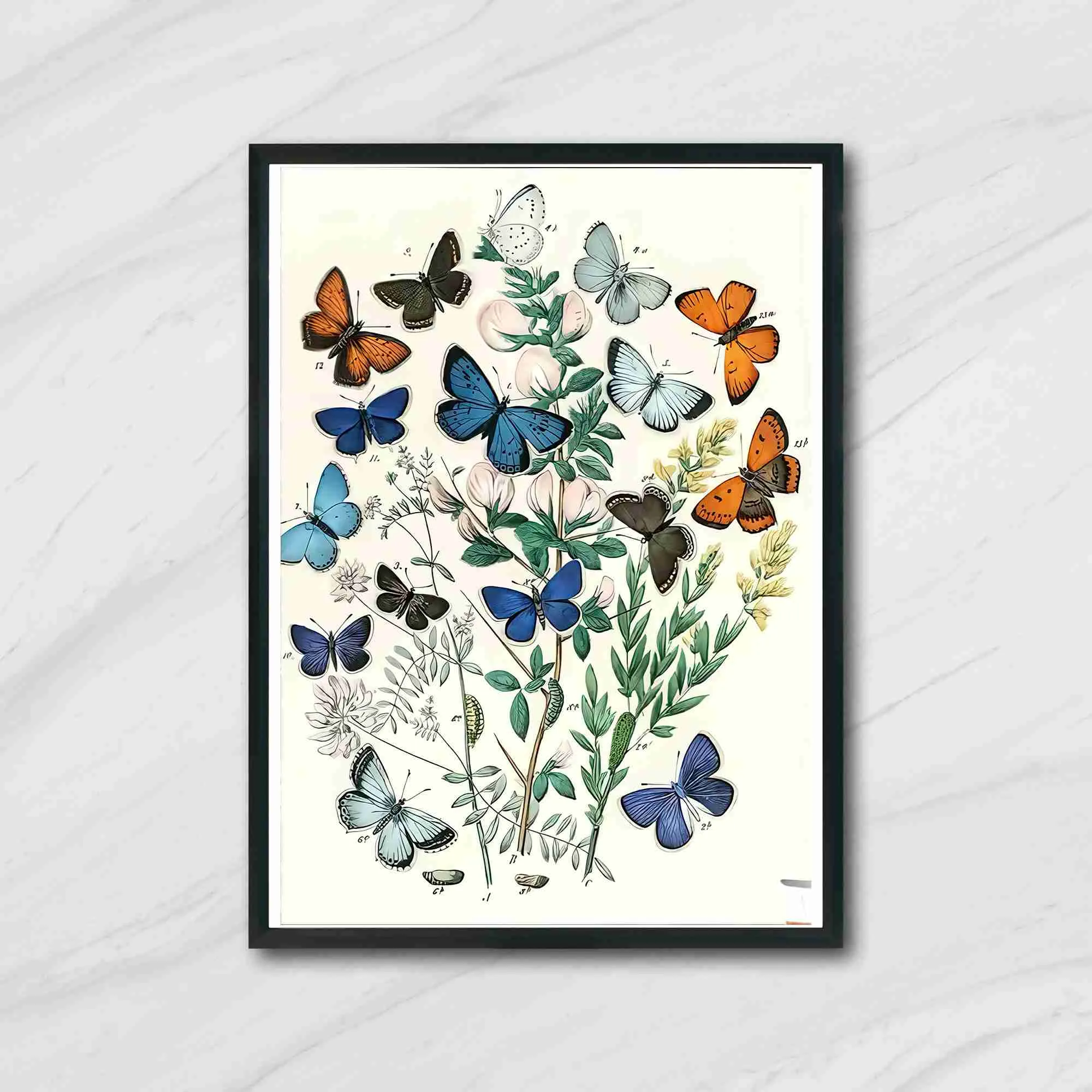 تابلو دیواری رویش پروانه ها