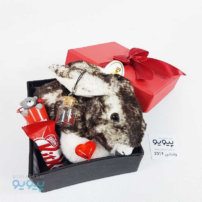 پکیج ولنتاین با عروسک خرگوش طبیعی خوابیده