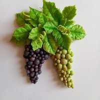 مگنت انگور خمیری 