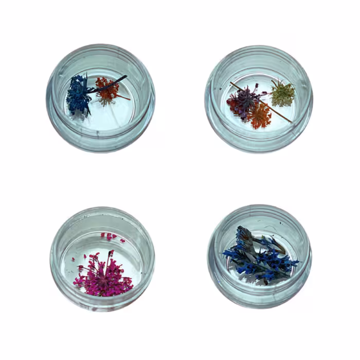 گل خشک مدل 04 مجموعه چهار عددی