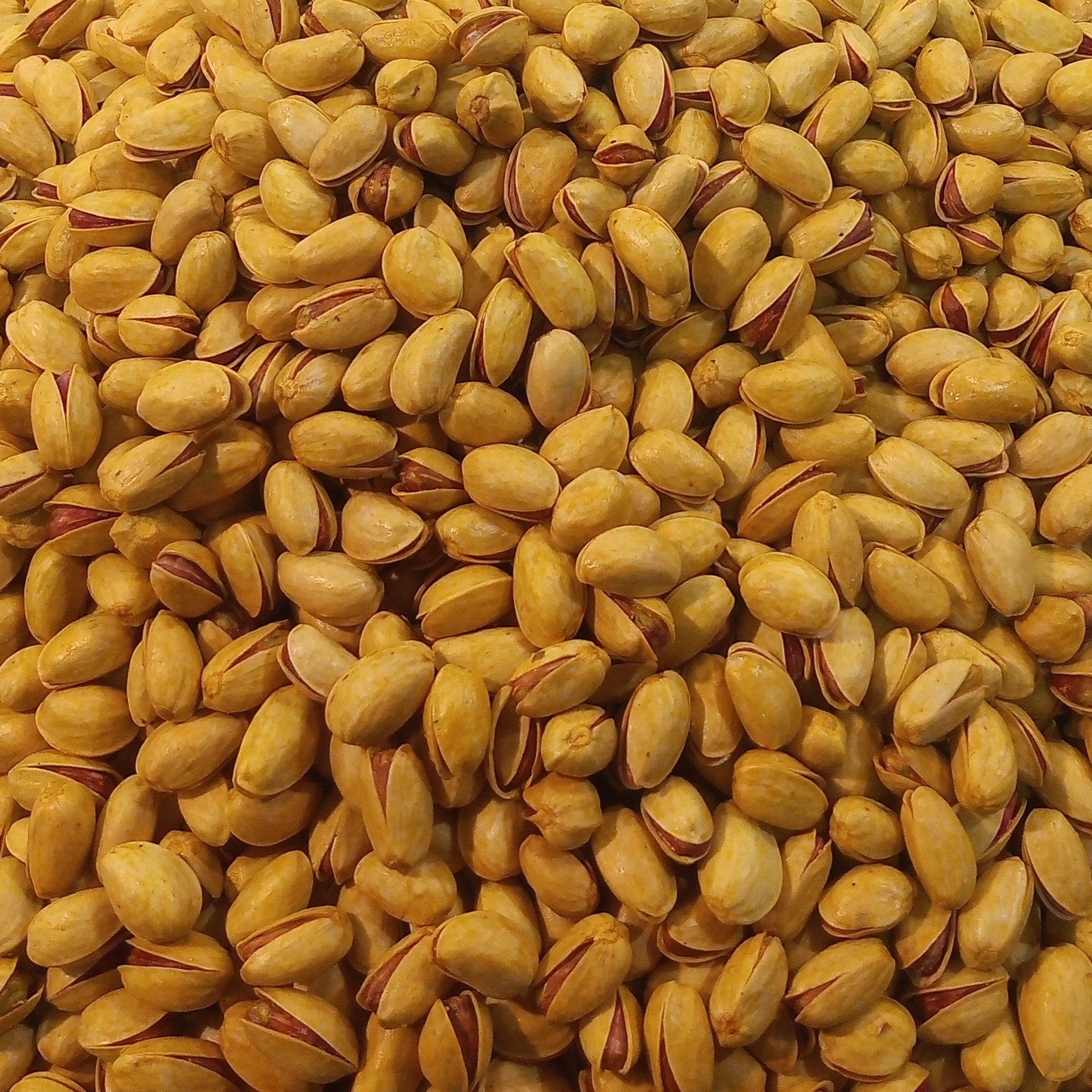 پسته احمد آقایی  شور