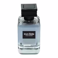 ادو پرفیوم مردانه رودیر پلاس مدل Iron Side حجم 100 میلی لیتر