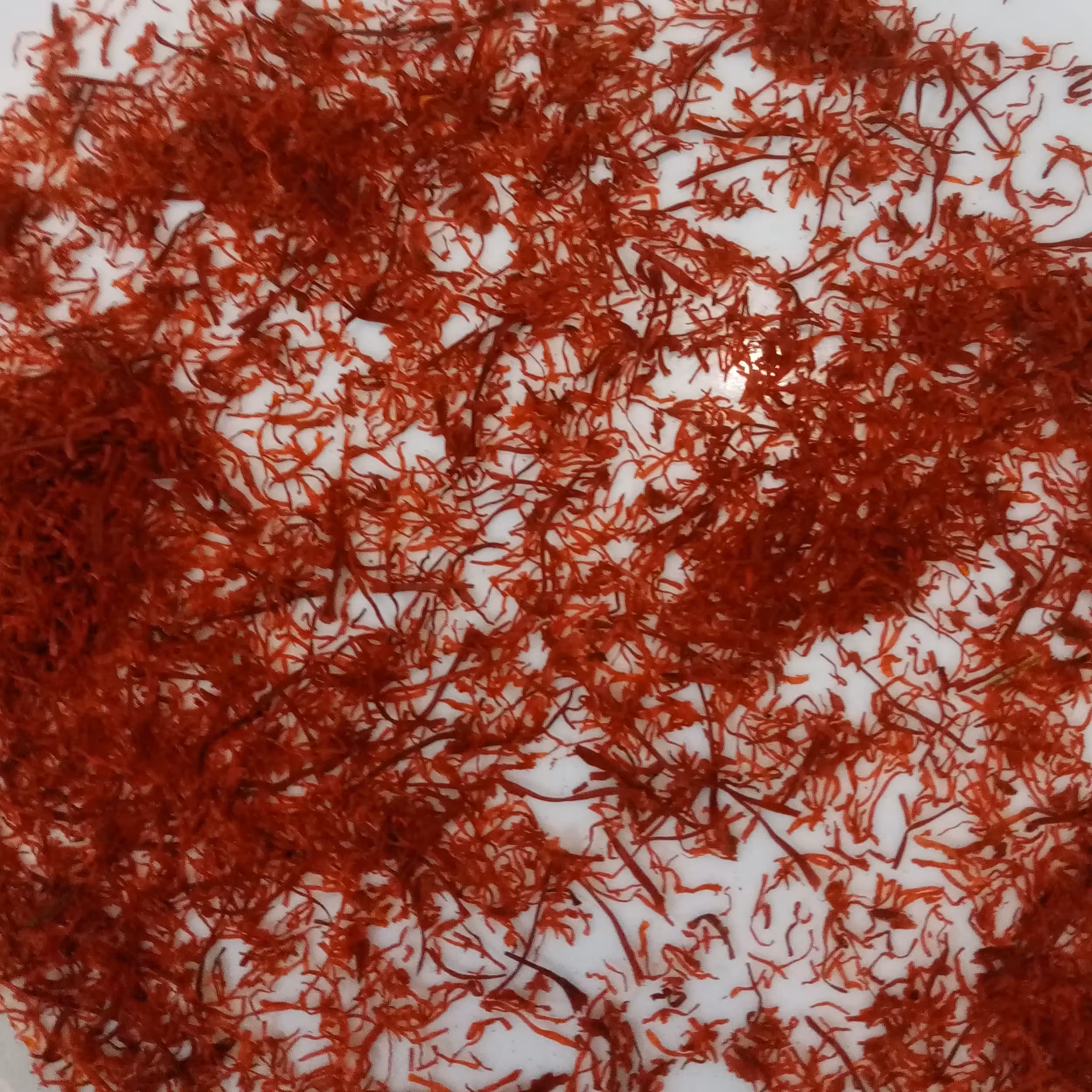 زعفران نرمه شکسته