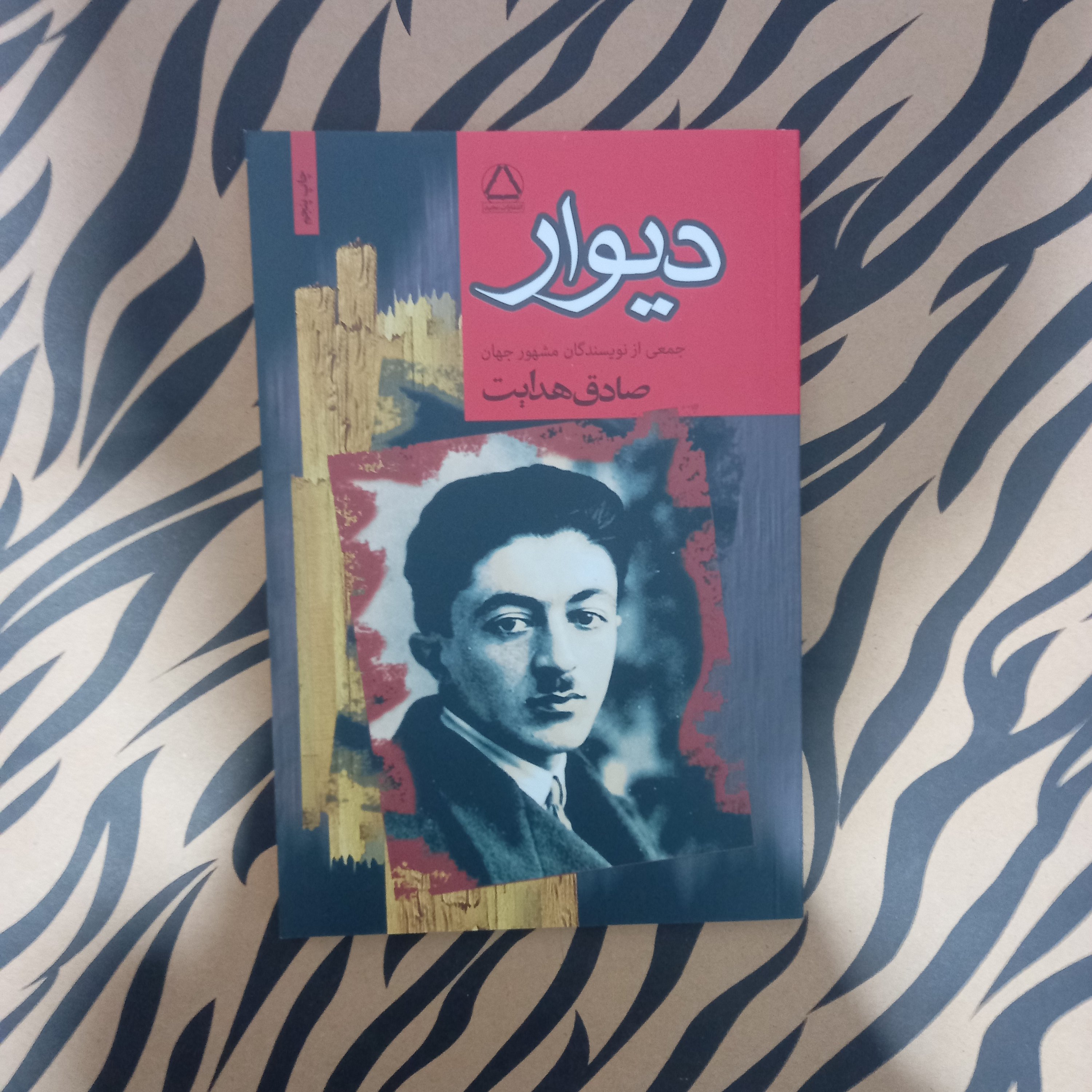 دیوار ترجمه صادق هدایت