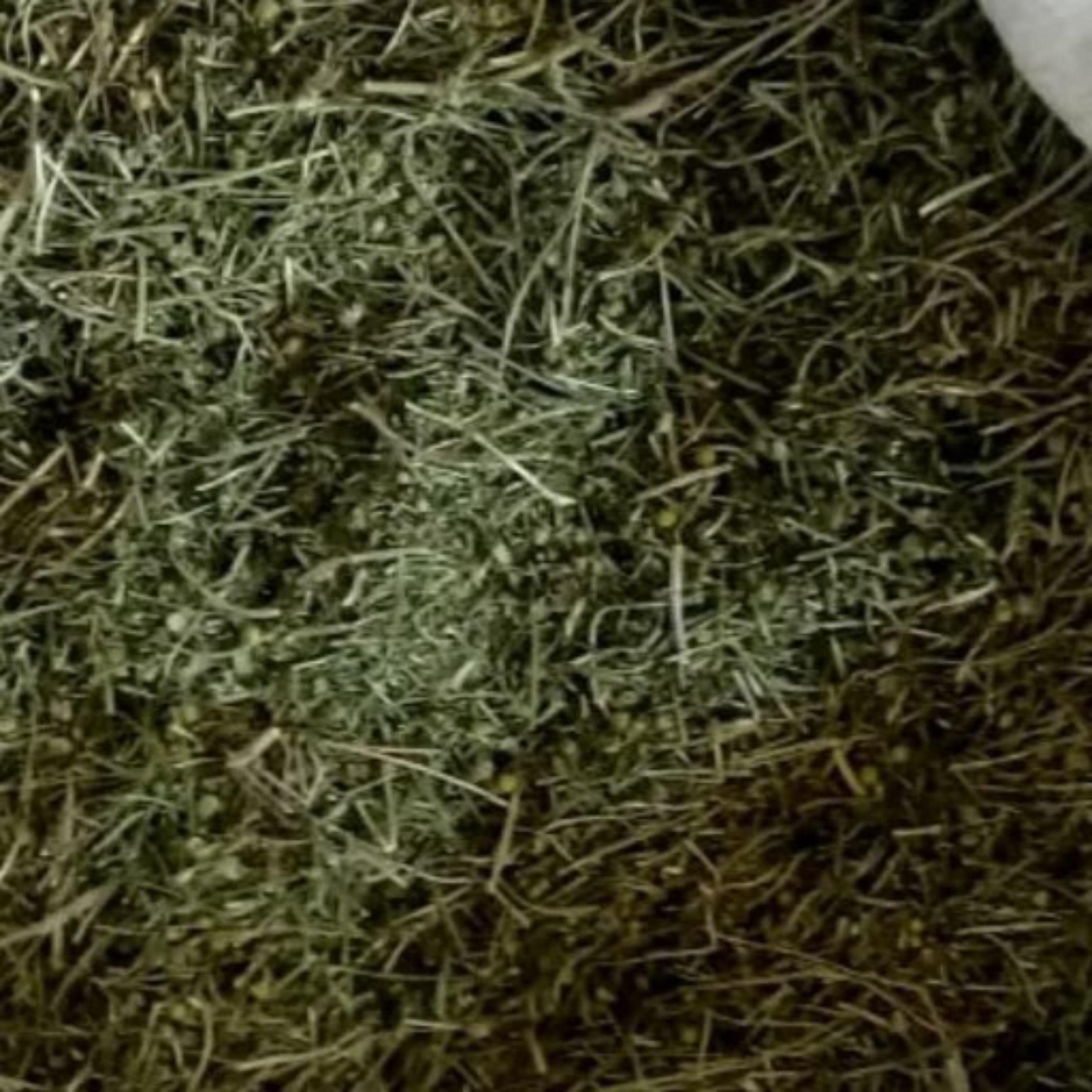 بابونه اعلا(ریشه وبرگ وساقه)(محله گل وبلبل ) 500گرم محصول بهشت ایران زمین