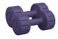 دمبل 2 کیلویی بادی اسکالپچر 102N