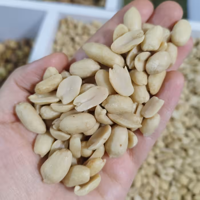 بادام زمینی بدون پوست آستانه (یک کیلو) کره گیری