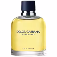 عطر ادکلن دی اند جی دلچه گابانا پورهوم Dolce Gabbana Pour Homme