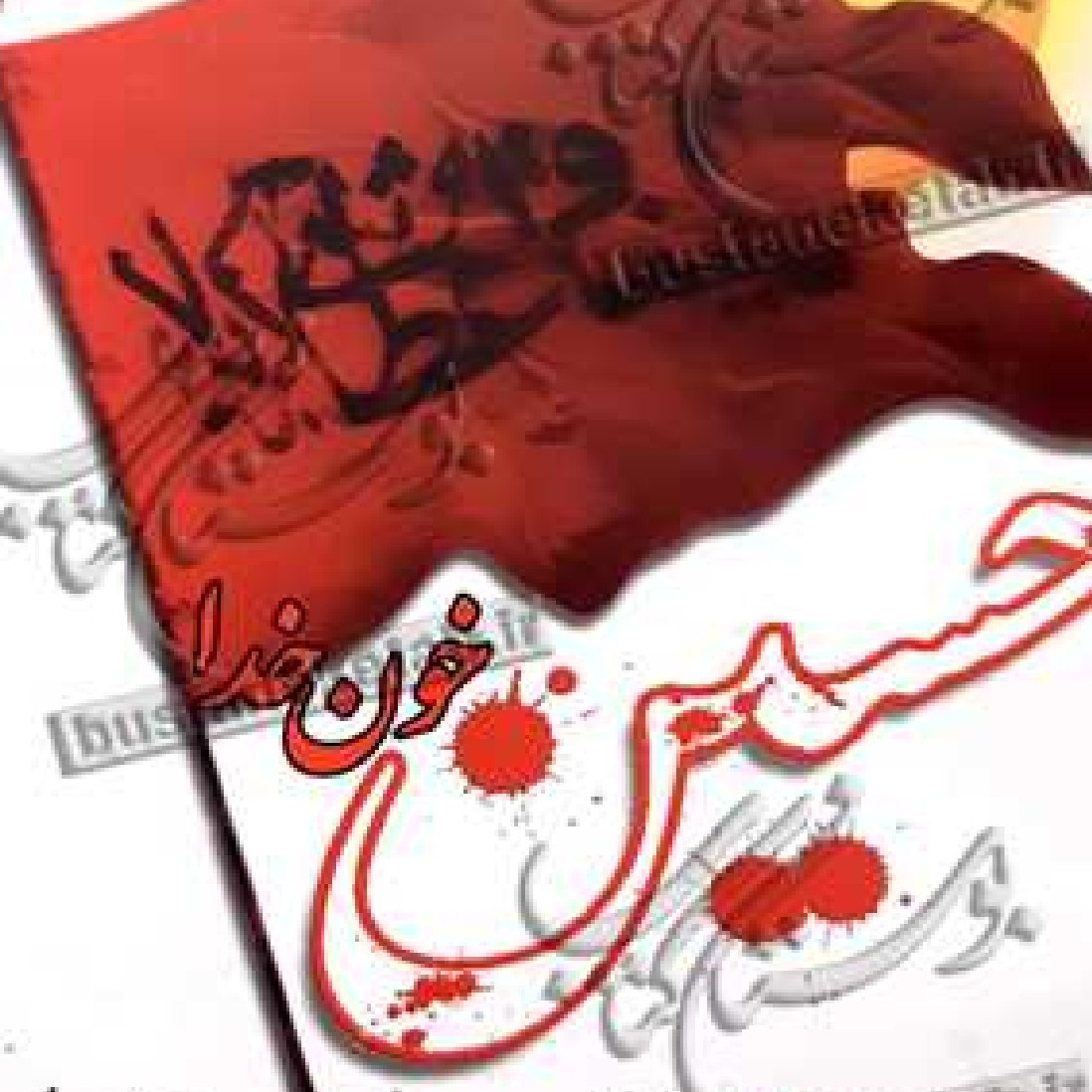 کتاب قارچ از خرید تا سفره اثر زهرا معینی