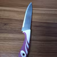 چاقو آشپزخانه 