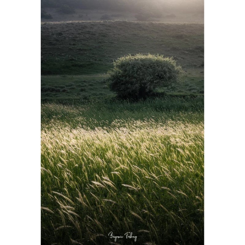 	 تابلو شاسی کد benpics-0019 (ابعاد 40x60 - شاسی 8 میل-کاغذ سیلک-اصالت تصویر)