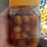 زیتون عسلی (700گرمی)