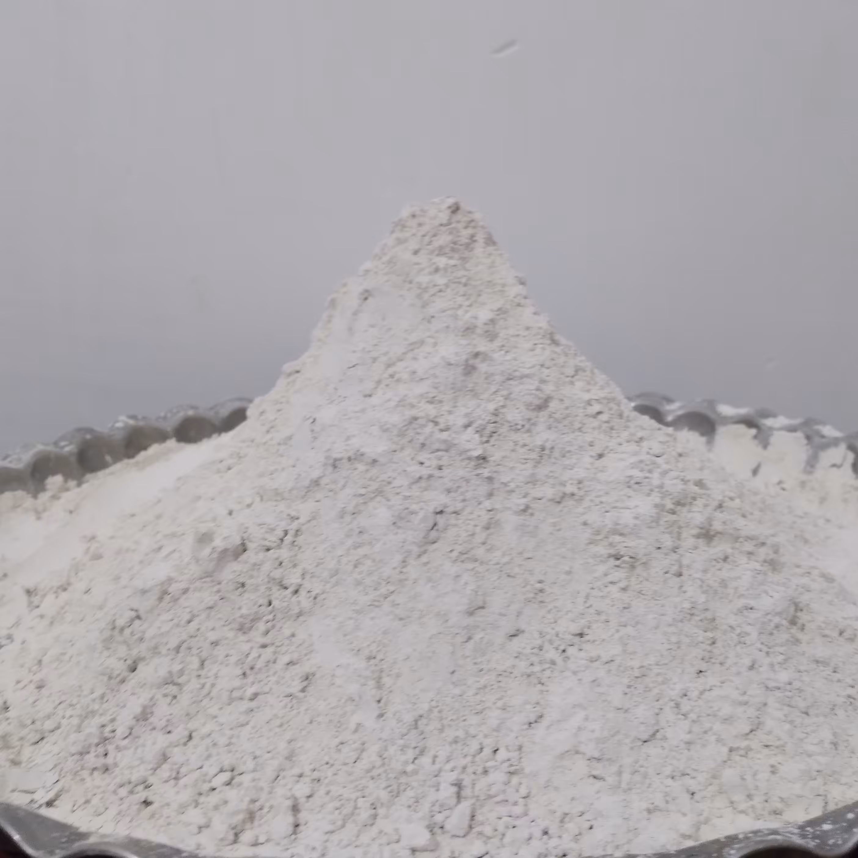 کربنات کلسیم بسته 5 کیلویی (درصد کلسیم بالا) مناسب برای تهیه خوراک دام وطیور . قارچ.پرندگان.مکمل حلزون