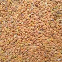 قدومه پسر(200گرم)