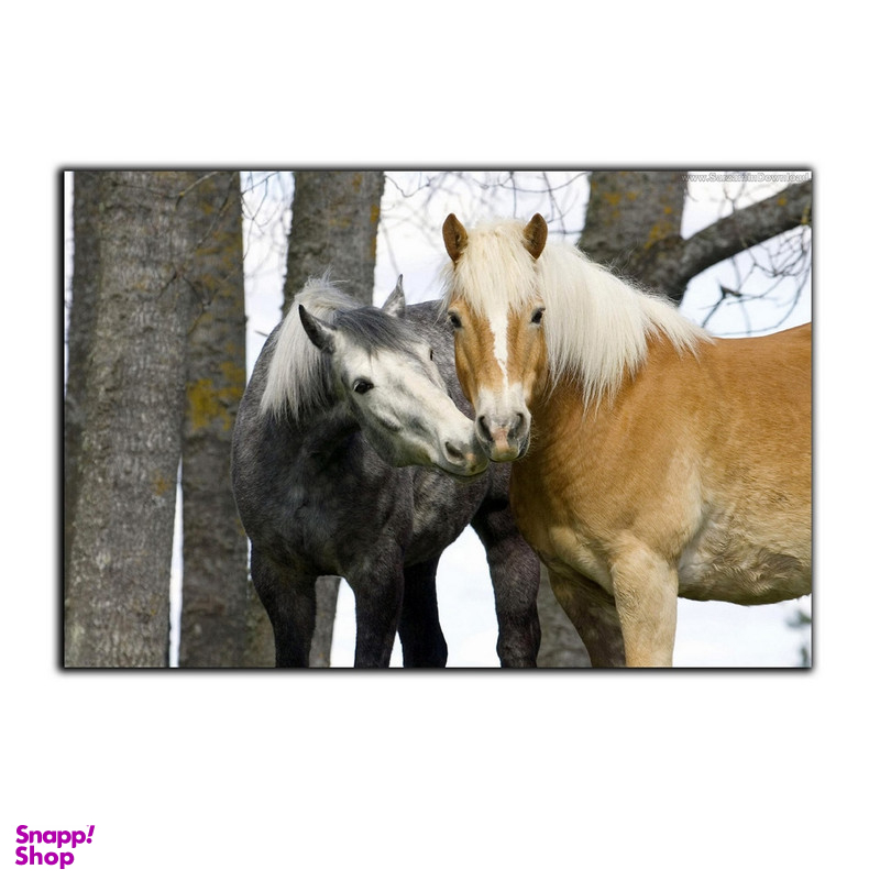 تابلو شاسی بکلیت طرح حیات وحش اسب مدل SH-7590