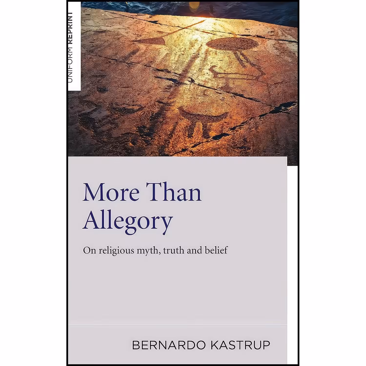 کتاب زبان اصلی More Than Allegory اثر Bernardo Kastrup انتشارات Iff Books