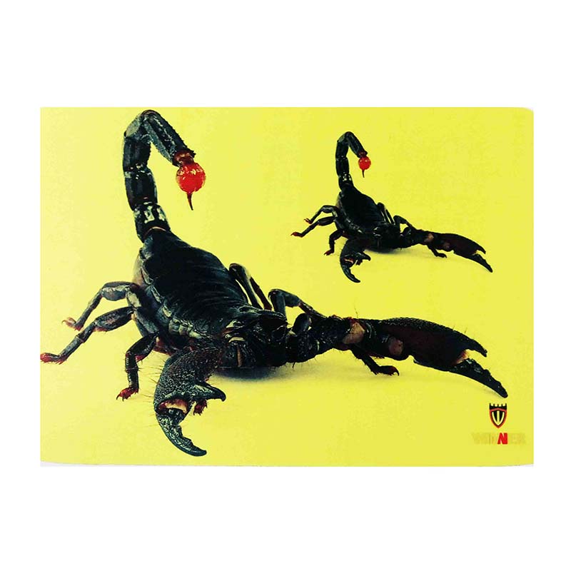 پد ماوس گیمینگ WINNER طرح عقرب کد 60