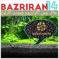 خاک چمن مونت کارلو