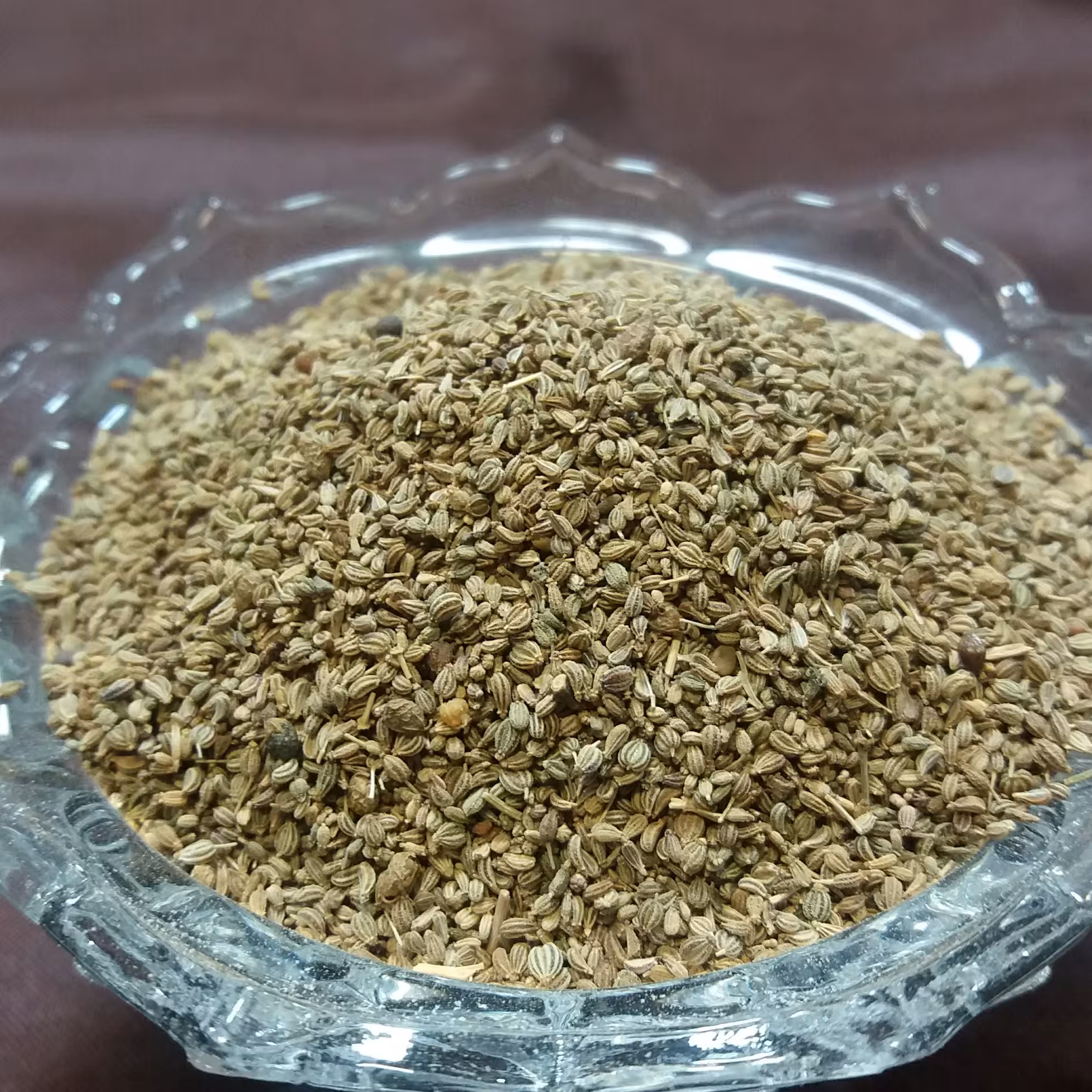 تخم جعفری بسته 100 گرمی