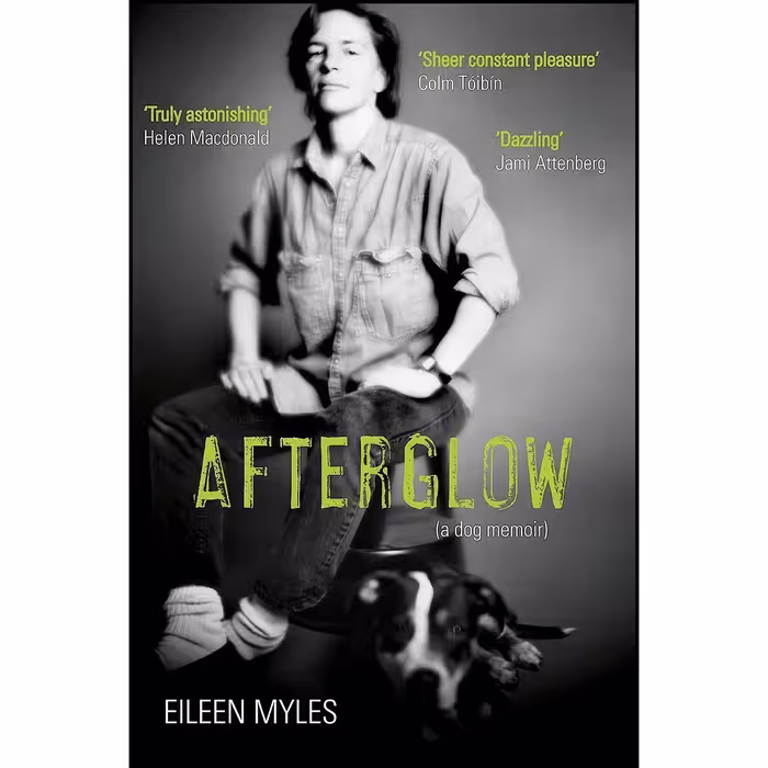 کتاب زبان اصلی Afterglow اثر Eileen Myles