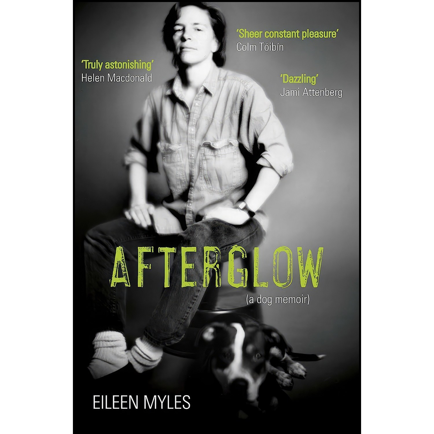 کتاب زبان اصلی Afterglow اثر Eileen Myles