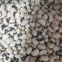 لوبیا چشم بلبلی 