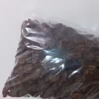 مویز انگور قرمز یا زمستانی