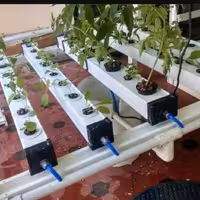 سیستم ان اف تی کامل  NFT system