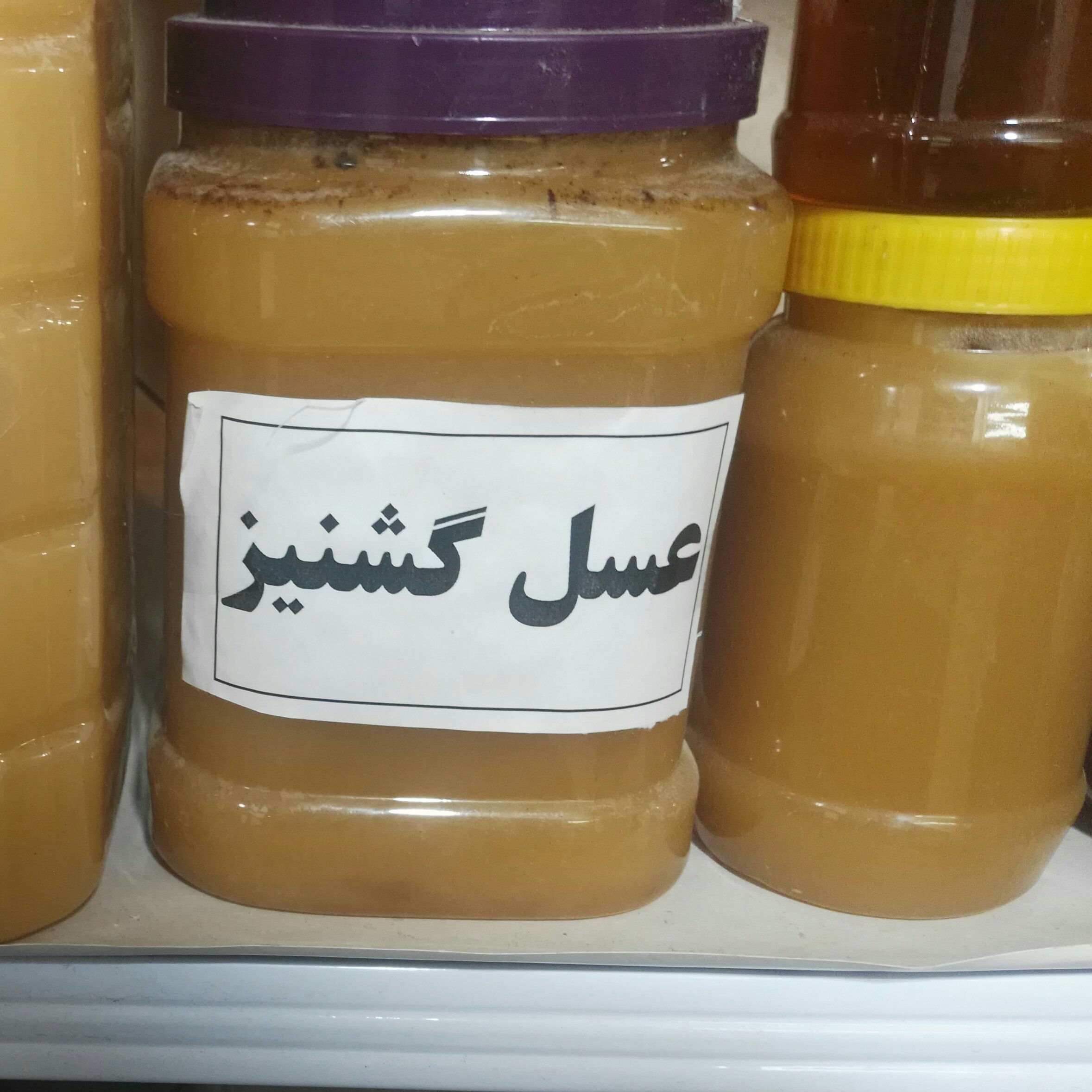 عسل گشنیز