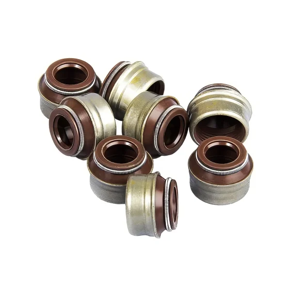 کاسه نمد ساق سوپاپ - لاستیک سوپاپ 405 ویژن ژاپن 066