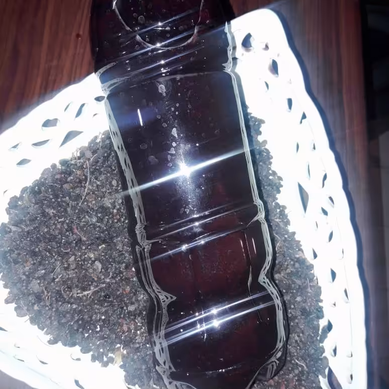 آب زرشک خانگی 100 درصد خالص 1.5 لیتری ( تهیه شده از زرشک کوهی )