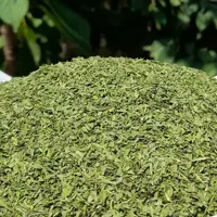 نعنا خشک معطر تازه و امساله 5 ستاره صدرا 300 گرمی فروش ویژه