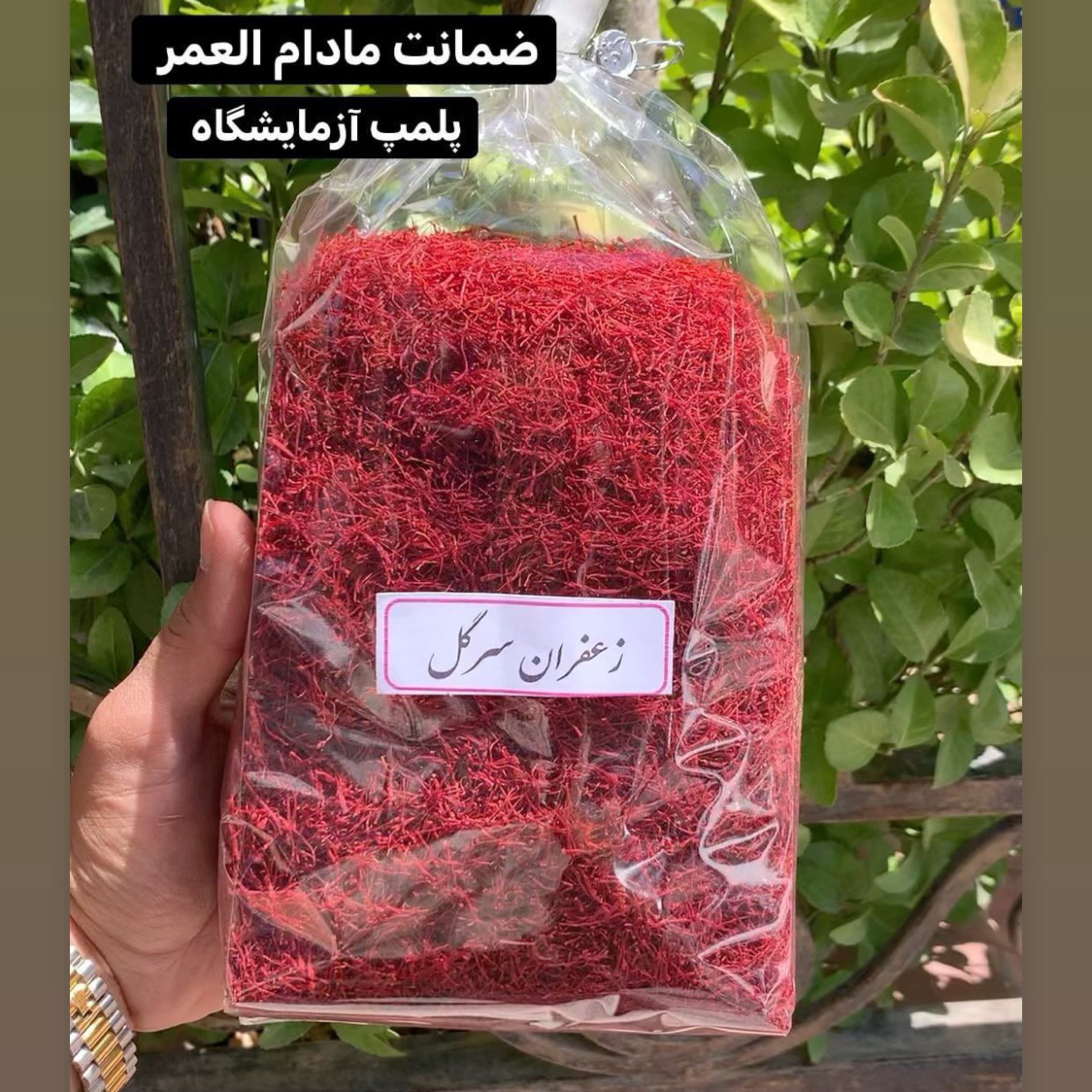 زعفران کشاورز سرگل قاینات اصل 500 گرمی پلمپ -آقای زعفران