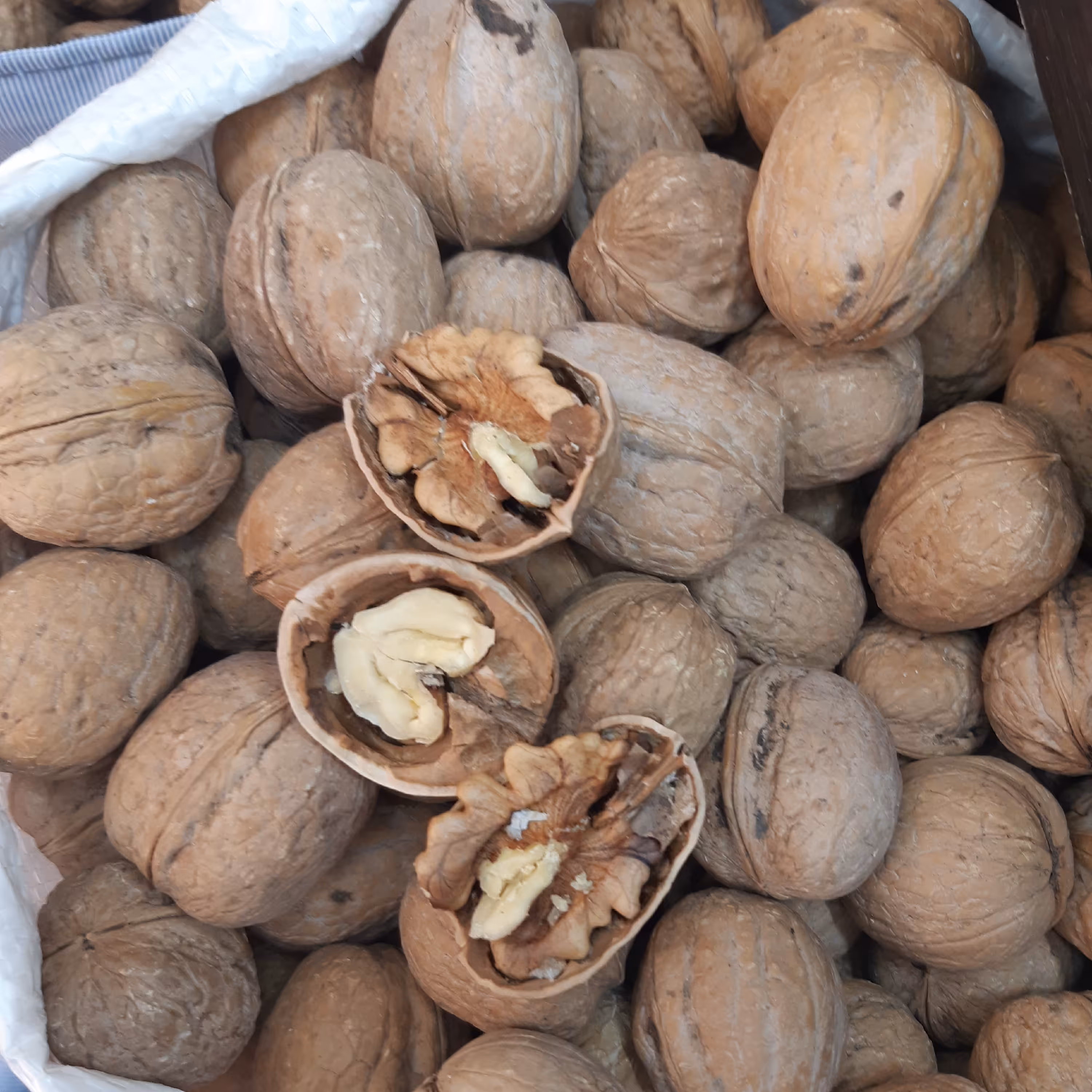 گردوی منطقه الموت اعلا ء(بسته یک کیلویی)