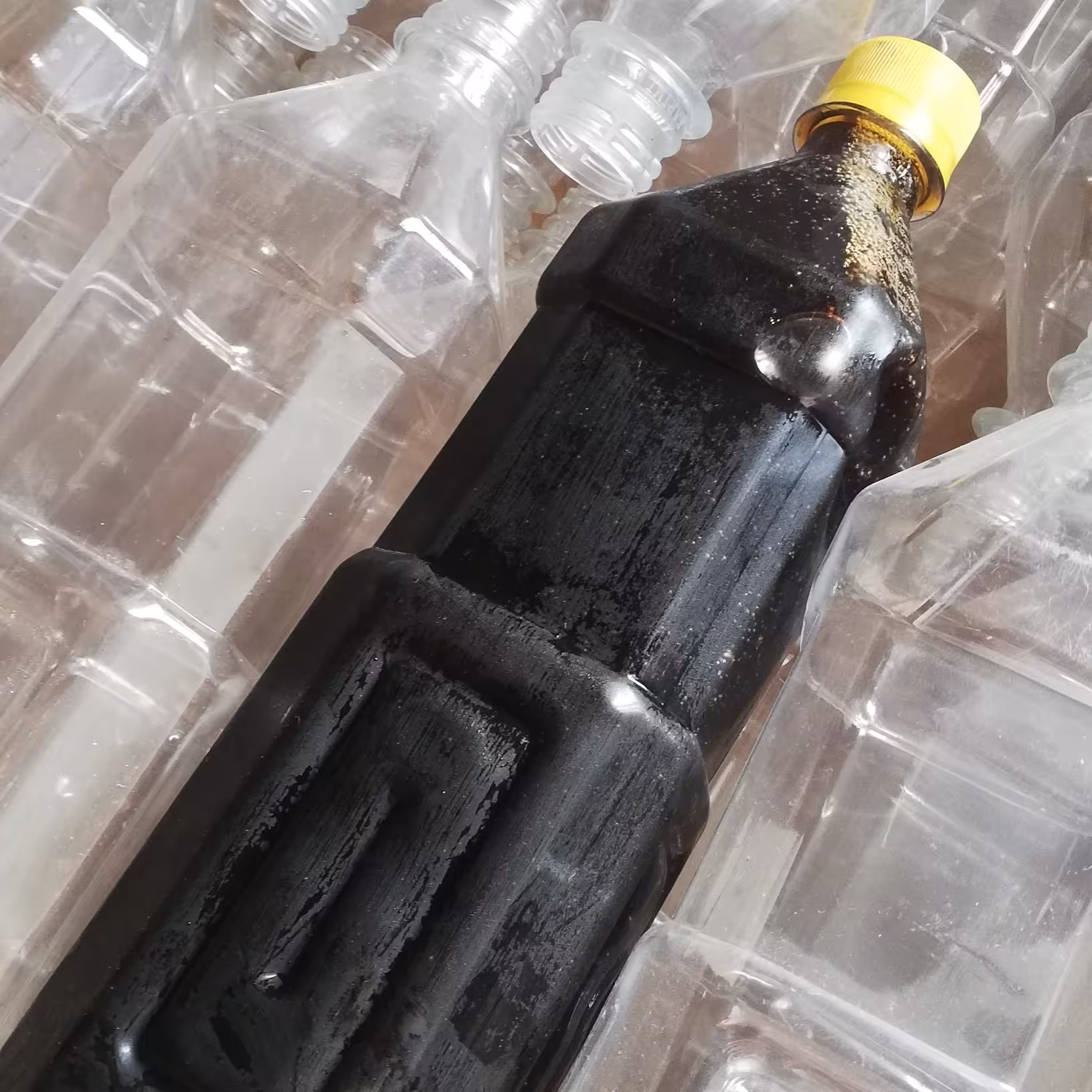 شیره خالص نیشکر تولید فروردین 1402