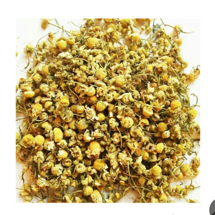 بابونه شیرازی