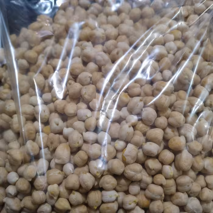 نخود محلی ارگانیک 500گرمی مربوط به یکماه پیش از مزرعه به صورت دیم کاشت برداشت شده 