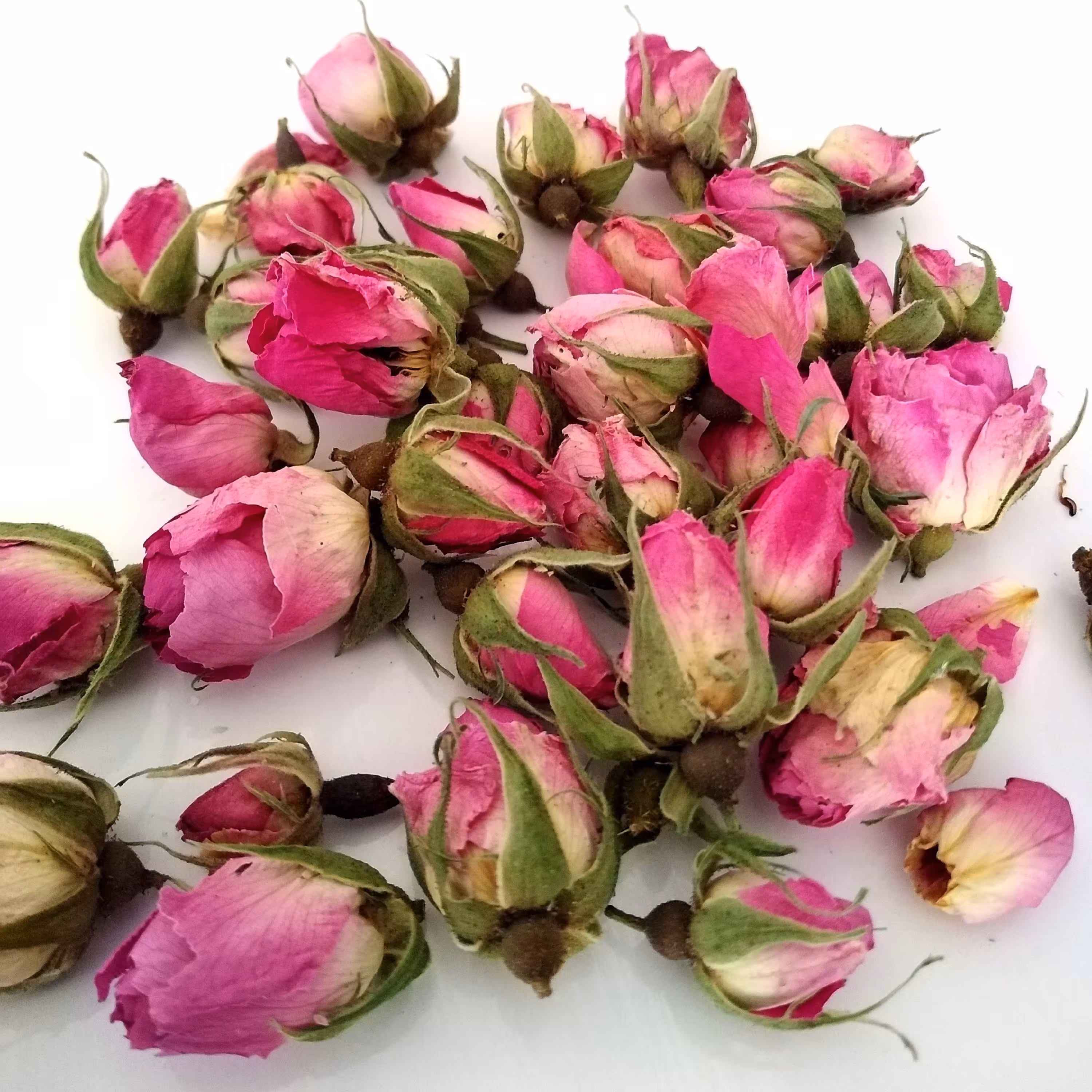 غنچه گل محمدی تازه وباکیفیت، 50 گرمی