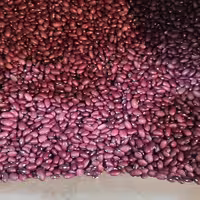 لوبیا قرمز (یک کیلو)