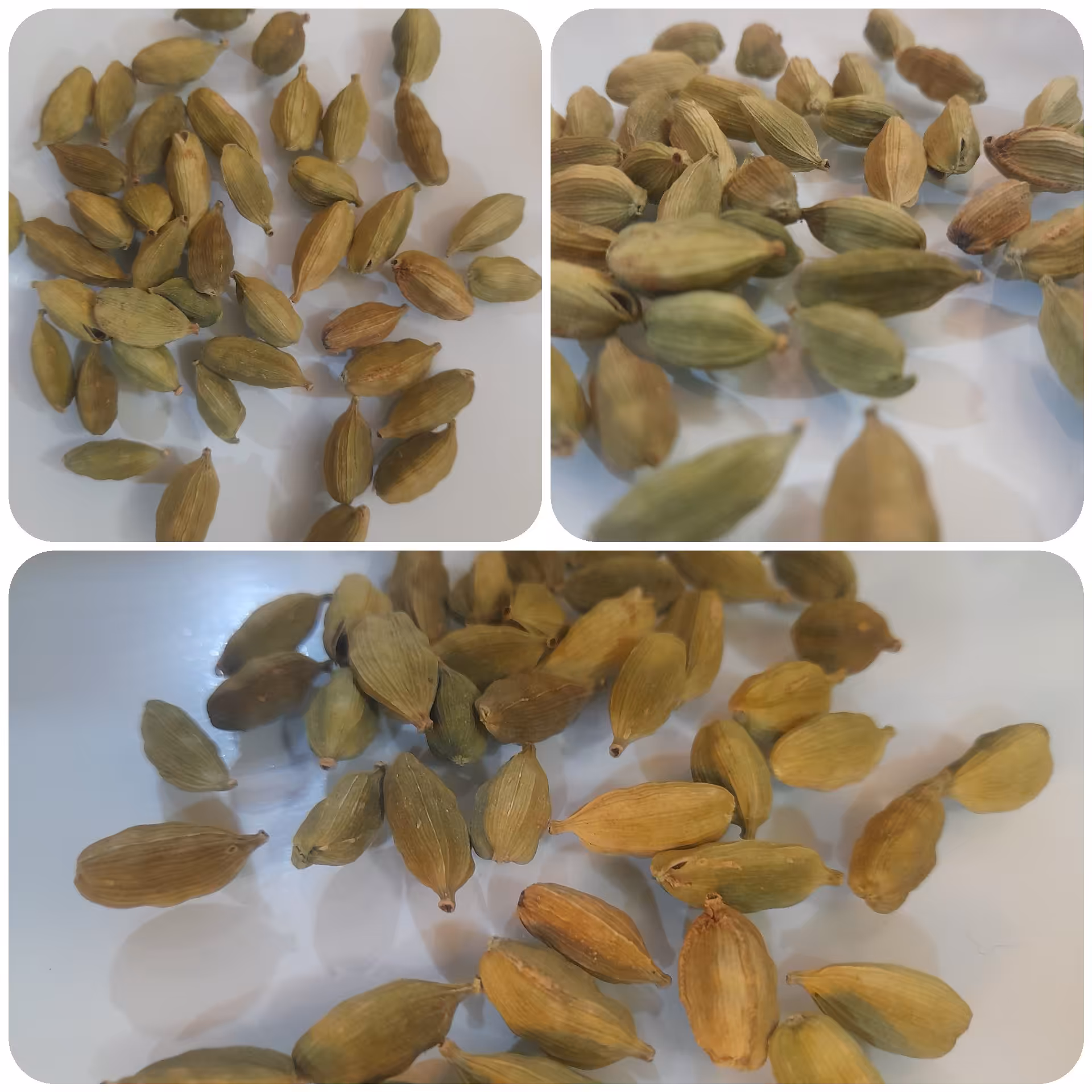 هل اکبر بنفش (بنفش) 