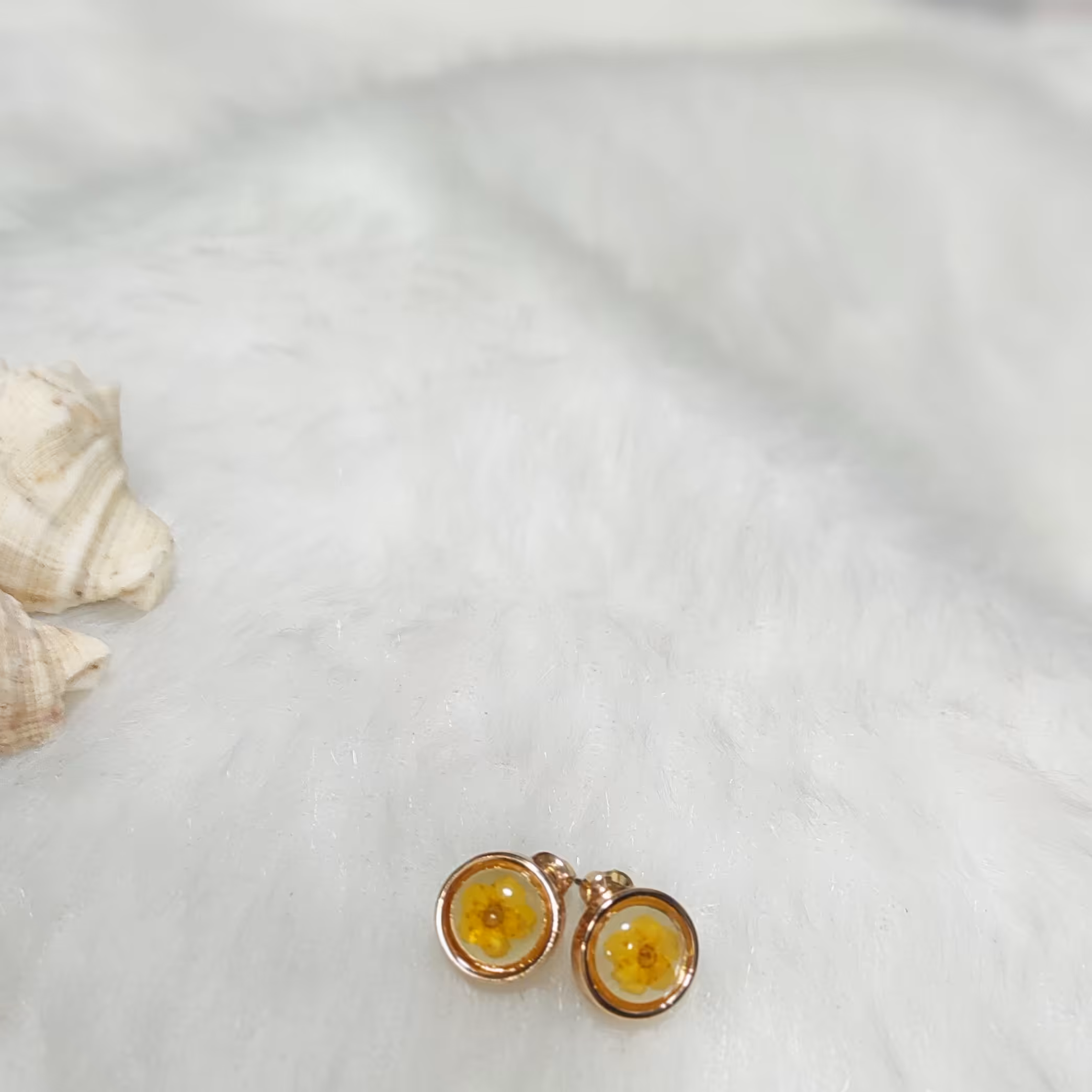 گل گوش میخی 