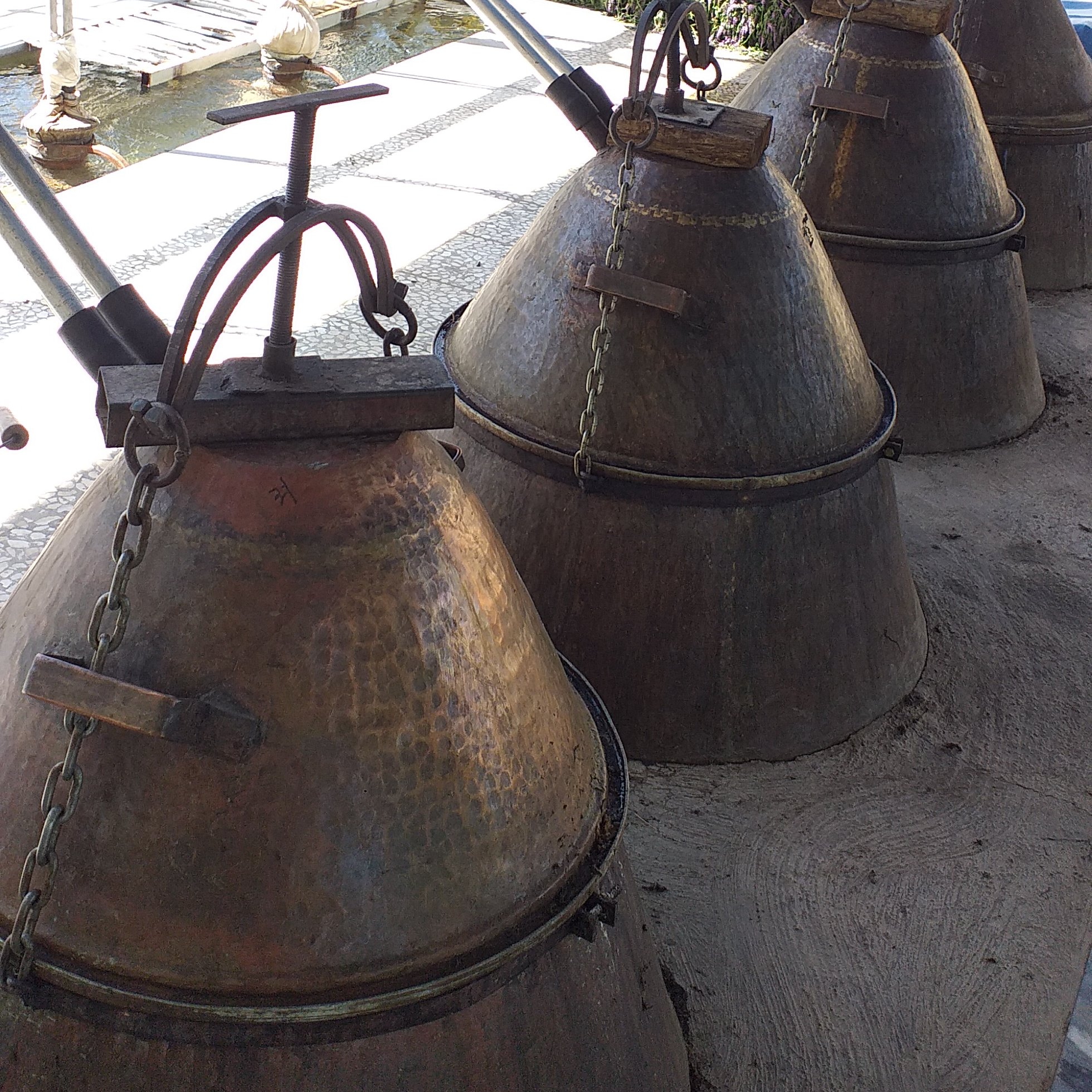 معجون کبد چرب