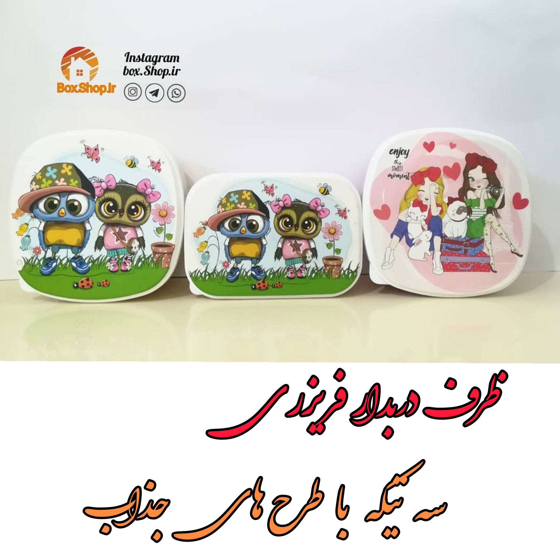 ظرف دربدار فریزری مستطیل برند زیباسازان
