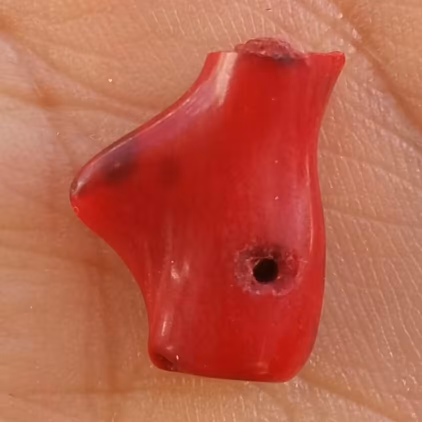 سنگ مرجان سرخ سوراخ دار مناسب آویز شاهکار خلقت دیدنی خاص بی نظیییر