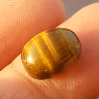 نگین چشم ببر وارداتی از کشور پاکستان با تلالوئی بی نظیر کد 10643