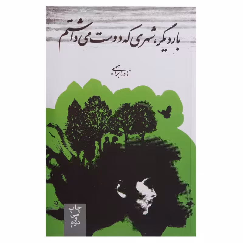 کتاب بار دیگر شهری که دوست می‌داشتم اثر نادر ابراهیمی