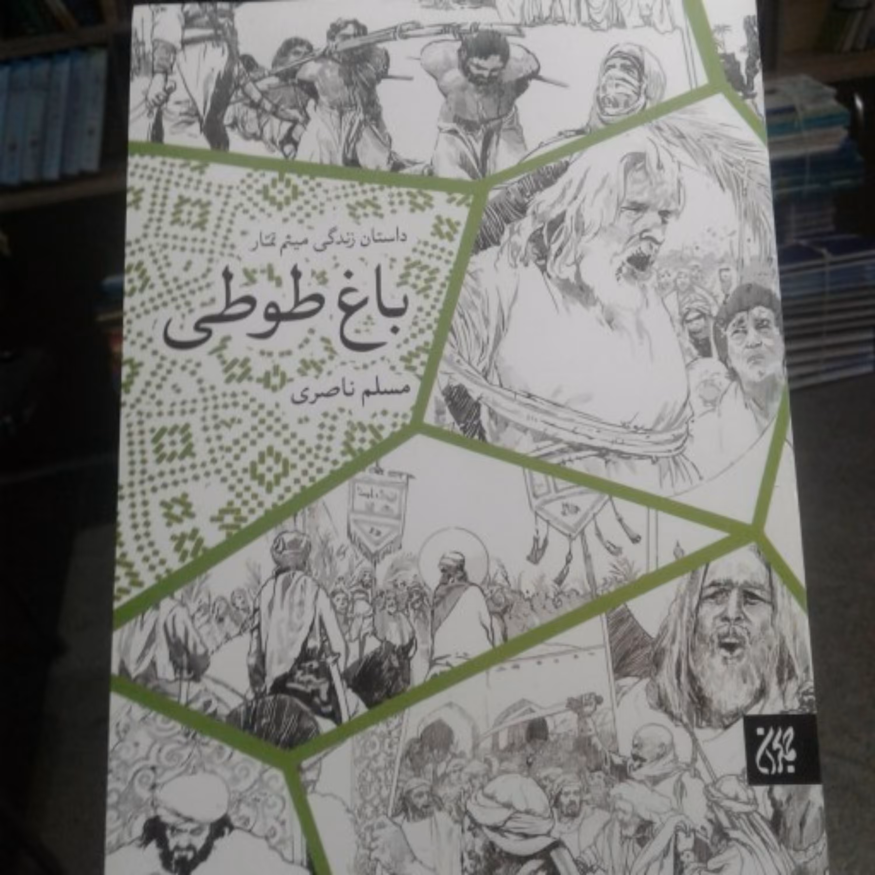 کتاب باغ طوطی اثر مسلم ناصری