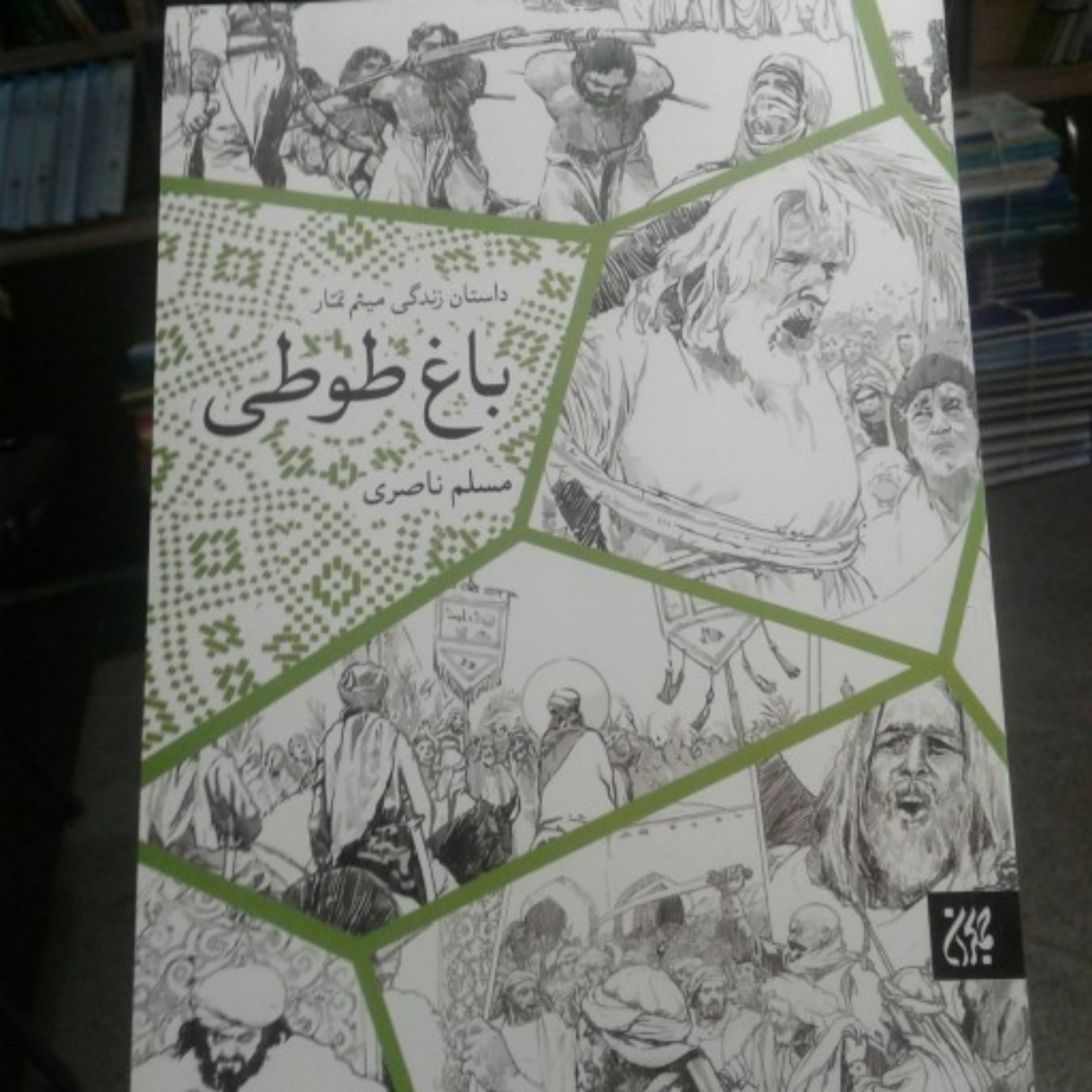 کتاب باغ طوطی اثر مسلم ناصری